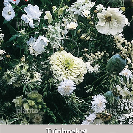 Tuinboeket in Wit en Groen