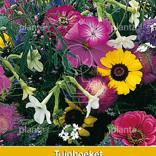 Tuinboeket Vlinders