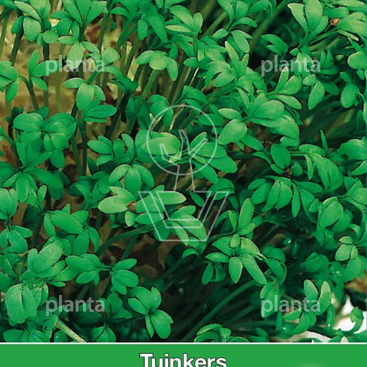 Tuinkers