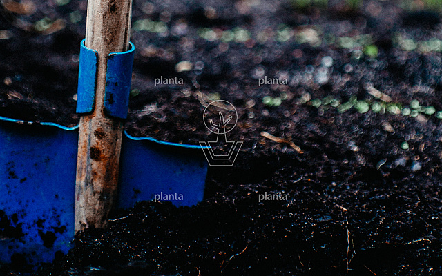 markus spiske pashrakideu unsplash 2