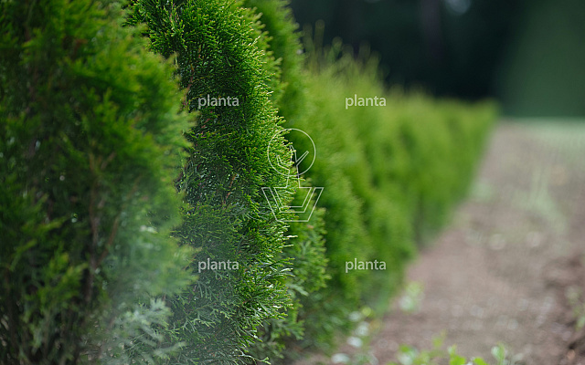 manuel t xf1nszrkh s unsplash