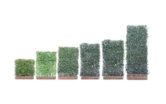 131598 mobilane 6 hagen 3