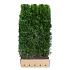 Quick Hedge Haagelement 100cm lang x 180 tot 200cm hoog