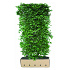 Quick Hedge Haagelement 100cm lang x 200cm hoog