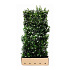 Quick Hedge Haagelement 100cm lang x 180cm hoog