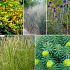 24 planten voor ongeveer 3 m2