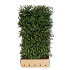 Quick Hedge Haagelement 100cm lang x 200cm hoog