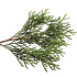 Quick Hedge Haagelement 100cm lang x 200cm hoog