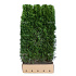 Quick Hedge Haagelement 100cm lang x 200cm hoog