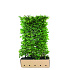Quick Hedge Haagelement 100cm lang x 150cm hoog