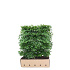 Quick Hedge Haagelement 100cm lang x 120cm hoog