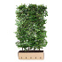 Quick Hedge Haagelement 100cm lang x 200cm hoog