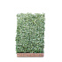 Mobilane kant en klaar haag, LxH 120x180cm, cocopeat 'pot'