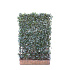 Mobilane kant en klaar haag, LxH 120x180cm, cocopeat 'pot'