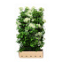 Quick Hedge Haagelement 100cm lang x 180cm hoog