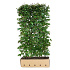 Quick Hedge Haagelement 100cm lang x 200cm hoog