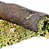 sempergreen, per 1,2 vierkante meter