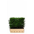 Quick Hedge Haagelement 100cm lang x 80cm hoog