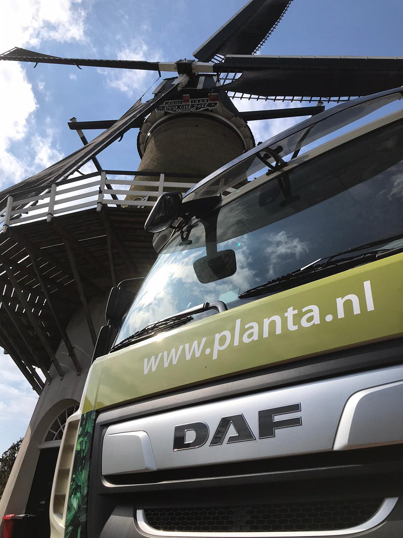 planta   lf met molen