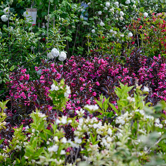 0365 lilian fotografie planta de bilt fotoshoot 20220513