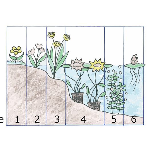 waterplantenzones3