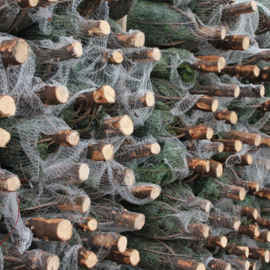 kerstbomen gestapeld