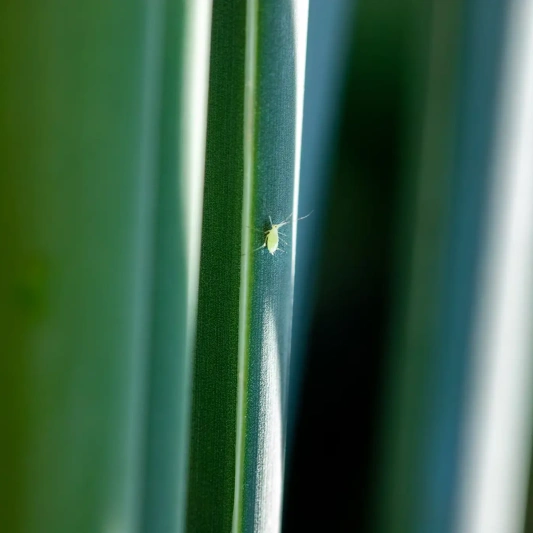 photo 1653125605950 fc9fed378962