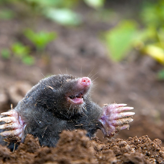 ontwerp zonder titel